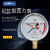 上海联力YJN-100双针耐震 记忆型压力表 峰值压力记录充油抗震表 16MPa