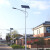 户外路灯LED灯5/6米高杆可定制道路不锈钢超亮ip灯头 5米60w（工程款 不虚标 ）