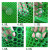 华睿 安全防护网绿色塑料平网格防护养鸡围栏家禽养殖胶网小鸡鸭鹅苗垫网漏粪网片 1米宽1.2孔50米长