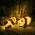 太阳能熊猫灯动物灯园林亮化灯灯饰灯具发光灯景观灯 熊猫A款