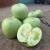 烟台印度青苹果印冬糖心苹果5斤自家产当季新鲜水果非王林红富士 5斤7-9个