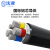 沈津 ZR-VLV22-0.6/1KV-3*120+2*70mm² 国标铝芯铠装阻燃电力电缆 1米