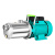 不锈钢螺杆自吸泵220V水井自来水增压泵无塔小型高扬程抽水泵 铸铁螺杆自吸泵1100W