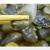 蝉之家宁波泥螺 个大新鲜醉泥螺 舟山腌制海鲜特产瓶装即食鲜活黄泥螺