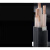 电缆16铜芯YJ   4芯10平方室外动力电缆铜线 YJV5芯25(10米)