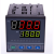 SKG TREX-CD900温度调节控制器 CD900L2L2