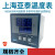 上海亚泰NE-6411V-2温控仪仪表NE6000-2温度表NE-5411数显温控器 NE-6412-2(N) PT100 400度