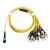 润丹福 MPO-MPO-LC/FC/MTP万兆单模apc光纤跳线8 12芯40G100G模块连接线O 单模MPO-12FC 2m