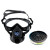 一护 防风式防毒护目套装防异味防喷溅面具 面罩+D-A/B/E/K-1（CA-2）滤毒盒