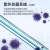 上海一恒 电热恒温培养箱细胞微生物腹透液催芽发酵实验室 DHP-9052普及型 