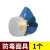 防毒口罩面具防二氧化硫酸性气体蒸气工业半面罩滤毒盒2007 地球2001-7(7号)防毒面具1套 其他