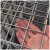德威狮 304不锈钢铁丝网电焊网片加粗隔离防护网片 2cm方孔3mm粗1m宽2m长 单位：张