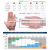 适用于长袖不锈钢丝手套护臂五级防割防刺屠宰剔骨验厂防电锯锁子 加长19cm304不锈钢钢钩手套S 1只