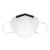 霍尼韦尔（Honeywell）KN95口罩 防雾霾防工业粉尘飞沫折叠式 H910Plus 耳带式 双片装 50只装