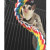 蜜袋鼯飞鼠鹦鹉攀爬绳索棉绳玩具吊绳玩具爬梯云梯软绳 拉长1M 拉直1米 259g