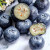 京诗悦新鲜蓝莓当季孕妇水果蓝莓中的大果4盒装（单盒125g） 6盒装（单盒125g)