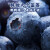 喵果馋云南蓝莓 国产新鲜大蓝莓 当季时令蓝莓水果生鲜125g/盒 单盒 125g 4盒装