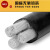 立飞 电缆线 带凯国标YJLV22 电力电缆地理架空线  铝芯带凯 4*16+1*10平方  1米（定制）