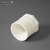 安赛瑞 PVC内丝直接（10个装）给水管件配件单内丝内螺内牙接头 白色 75mm 450062