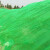 上柯 盖土网防尘网 建筑工地覆盖绿网绿化网 4针(8米X30米) A1441