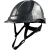 碳纤维色工地安全盔防砸国标安全帽带耳罩男建筑领导劳保 SBD-1P亮黑