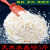京京 天然彩沙 粉沙绿沙子白石英砂 水晶沙 族鱼缸造景多肉铺面5斤 天然绿沙5斤装（2-3毫米）