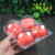 一次性苹果水蜜桃包装盒透明塑料水果盒2个4个6个8个橙子香梨盒 4个大号苹果盒50个) 果径9.5cm