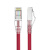 千天（Qantop）QT-WP15L 六类非屏蔽网络跳线 工程级CAT6类网线 5米纯铜成品网线红色