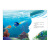 微瑕品 海底总动员2·尼莫和多莉的故事（迪士尼官方绘本完整版） 【3-6岁】 中信出版社图书