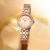 天王（TIAN WANG）手表女士满天星镶钻自动机械表品牌时尚腕表生日情人节礼物送女友 LS51371P.P.M