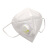 LISMkn95口罩带呼吸阀防护用品防尘工业粉尘打磨灰粉雾霾口罩批发厂家 呼吸阀+非独立包装+白色+五