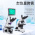 力辰（LICHEN）生物显微镜大视场目镜带CTV专业光学高清jing子螨虫显微镜 LC-BMS-2000T＋11.6寸显示屏