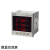 斯菲尔（SFERE） 电压电流组合表PD194UI-9S4K AC100V 1A 3P3W 1台/箱