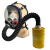 晋广源 CF02全面罩自吸过滤式防毒面具 02球形面罩+配7号滤毒罐+导气管