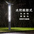 中恒朗 JGDB35250 景观灯 太阳能户外路灯 led方形灯 3.5米广场小区别墅防古中式灯 B款 3.5米高 250方