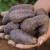 尤乐嘉甘肃黑土豆新鲜紫土豆西北特产紫色马铃薯含花青素蔬菜乌洋芋 黑土豆种子9斤