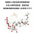熙峰集团 鲜人参膏Rg3Rh2 16种鲜活稀有人参皂苷蛋白肽氨基酸多糖维生素钾钙锌镁锰
