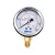 定制油压表竖向抗震耐震压力表径向测压YN-601.62.5/4/10/16/25/4 0-0.25MPA