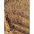 日韩品质土风养桩类多肉赤土专用砂沙岩非赤玉化砂沙岩非赤玉金软 3-65.5斤
