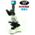 光学生物显微镜 PH50-3A43L-A 1600X宠物水产养殖半平场物镜 浅黄色