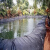 pe加厚鱼塘防渗膜养殖蓄水专用鱼池防水布防漏布池塘藕池土工膜 20S加厚14米宽50米长