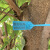 适配定制一次性园林锁扣打号锁标记牌号苗树扎带塑料封条 绿色50CM长100条