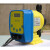 柱塞计量泵隔膜计量泵进口加药泵 特殊规格货期15天 SEKO-2000P