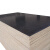 出极 木板 工地防坠盖井口木板 普通黑色字母覆膜胶合板 一张价 1830*915*15mm