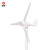 	晶标户外三叶水平轴风力发电机家用商用小微型220v伏直流风光互补永磁路灯风力发电M型12v500W