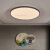 欧普源兴新中式灯主卧室吸顶灯现代简约大气书房灯饰家用过道玄关楼梯间灯 500圆 直径48高5cm