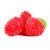 舅甜果蔬（顺丰空运）新鲜红树莓黑莓鲜果水果 现摘红树莓即食酸甜覆盆子 单盒 125g 红树莓 精品大果 12盒