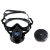 一护 防风式防毒护目套装 防毒防异味防喷溅面具 面罩+P-A-1(CA-2)防甲醛滤盒