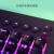 雷蛇（RAZER） 萨诺狼蛛背光游戏薄膜104键盘套装 电竞键盘 游戏键盘 雷蛇萨诺狼蛛V2