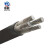 鼎献 电线电缆 YJLV 3*300平方 3芯国标铝芯阻燃电力电缆 1米